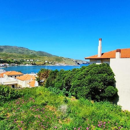 Andros Apartment - Lasia Buitenkant foto