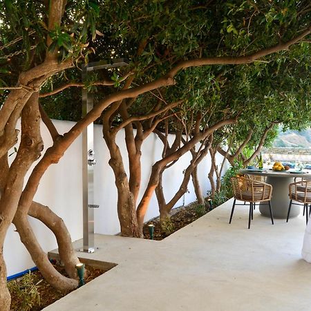 Andros Apartment - Lasia Buitenkant foto