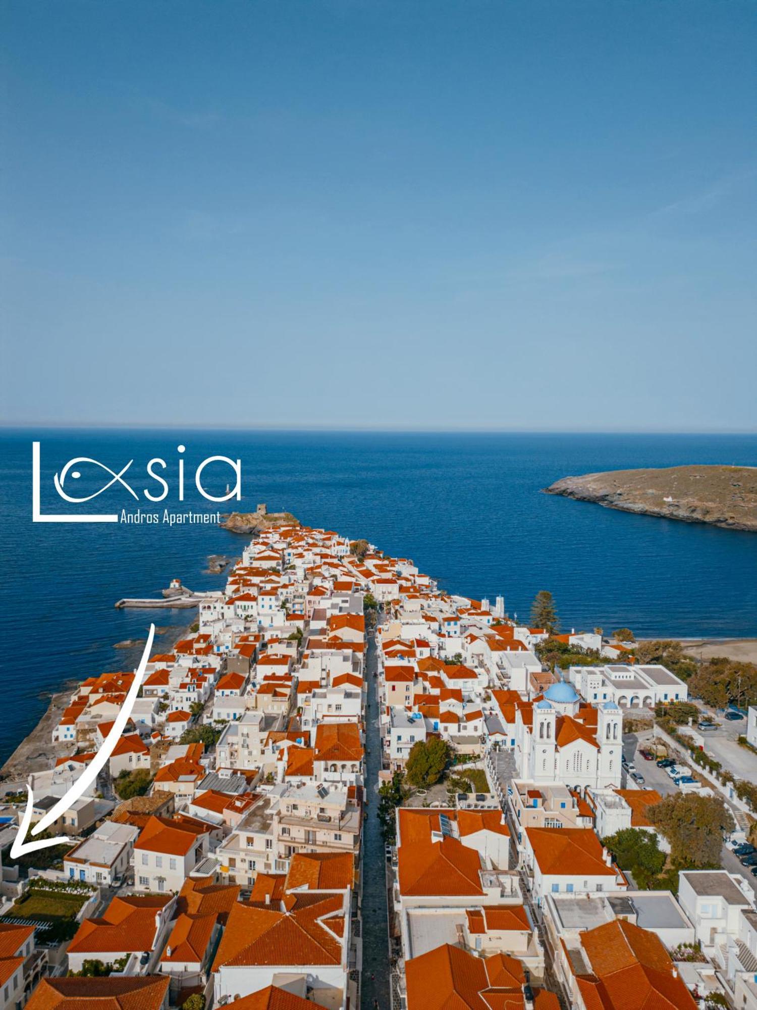 Andros Apartment - Lasia Buitenkant foto